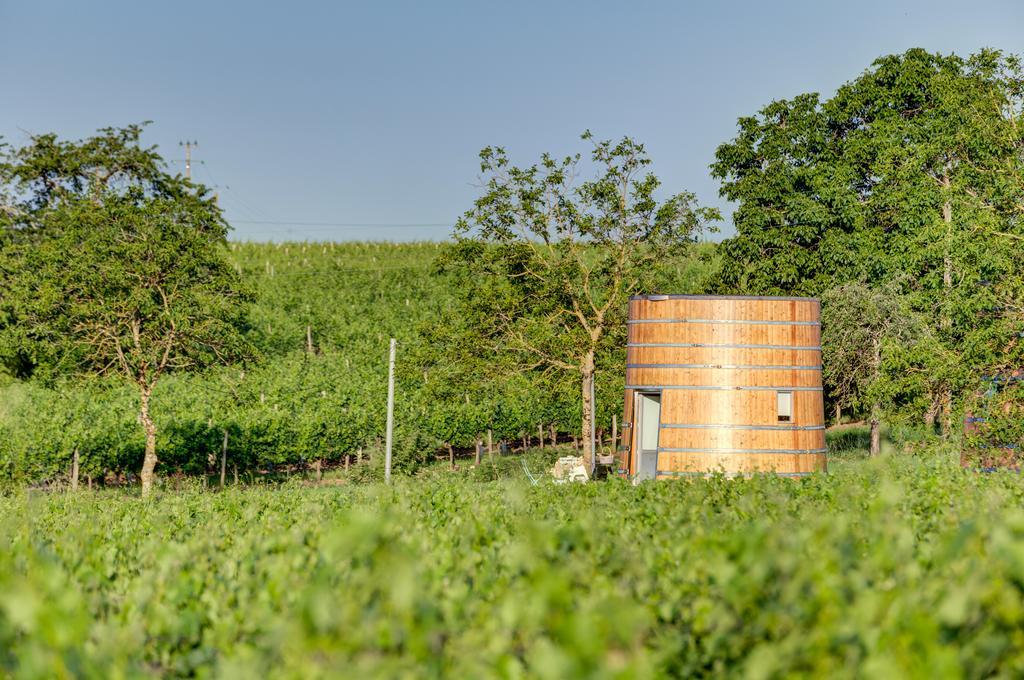 Bed and Breakfast Coup 2 Foudres Saint-Jean-de-Blaignac Exterior foto